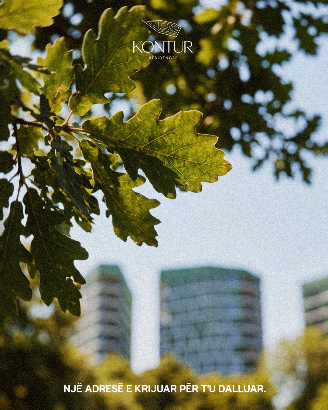 Oak leaves in front of the Kontur towers: an address created to stand out