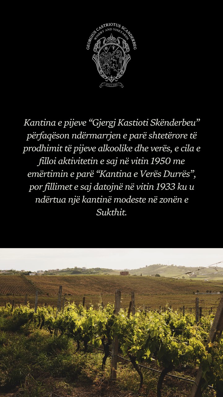 Story: the history of the winery over a vineyard