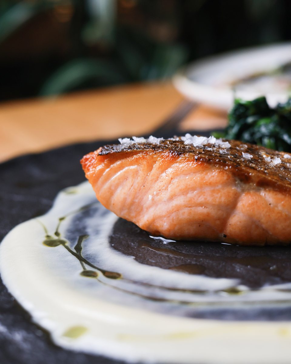 Seared salmon with sea salt, spinach and cream sauce