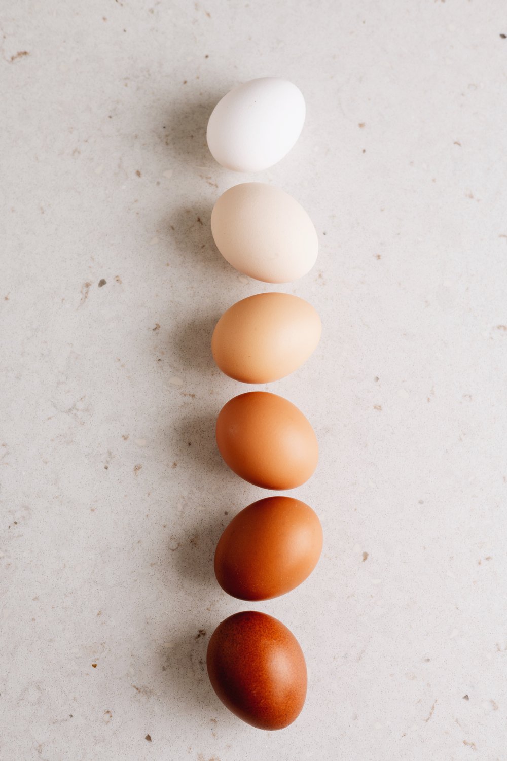 Six AIBA eggs in a row, from white to deep brown