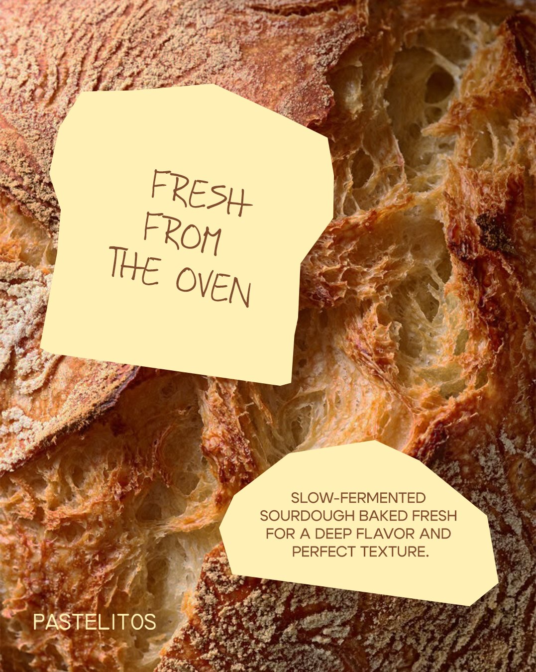 Fresh from the oven: slow-fermented sourdough