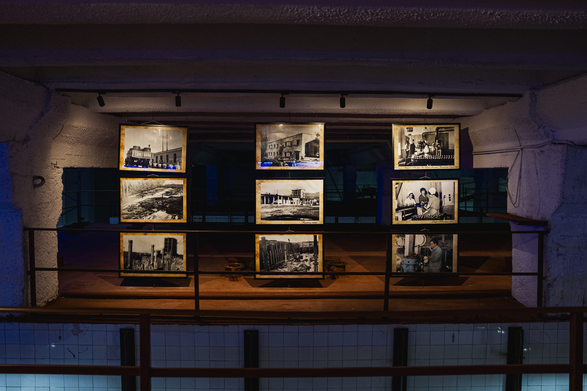 Archive photographs of the winery on display in the cellar