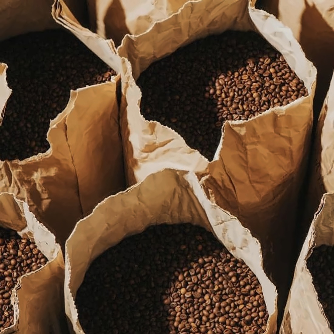 Paper sacks filled with roasted coffee beans