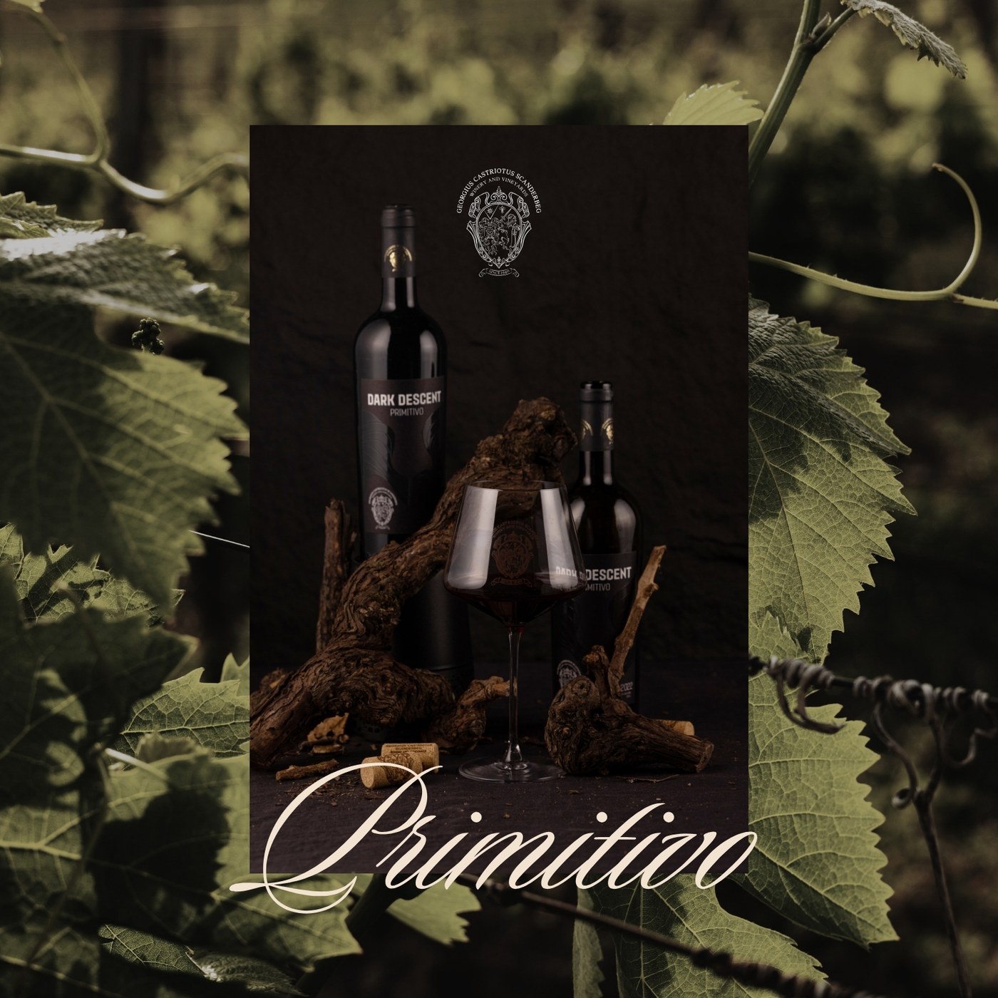 Dark Descent Primitivo bottles and old vine roots framed by vine leaves