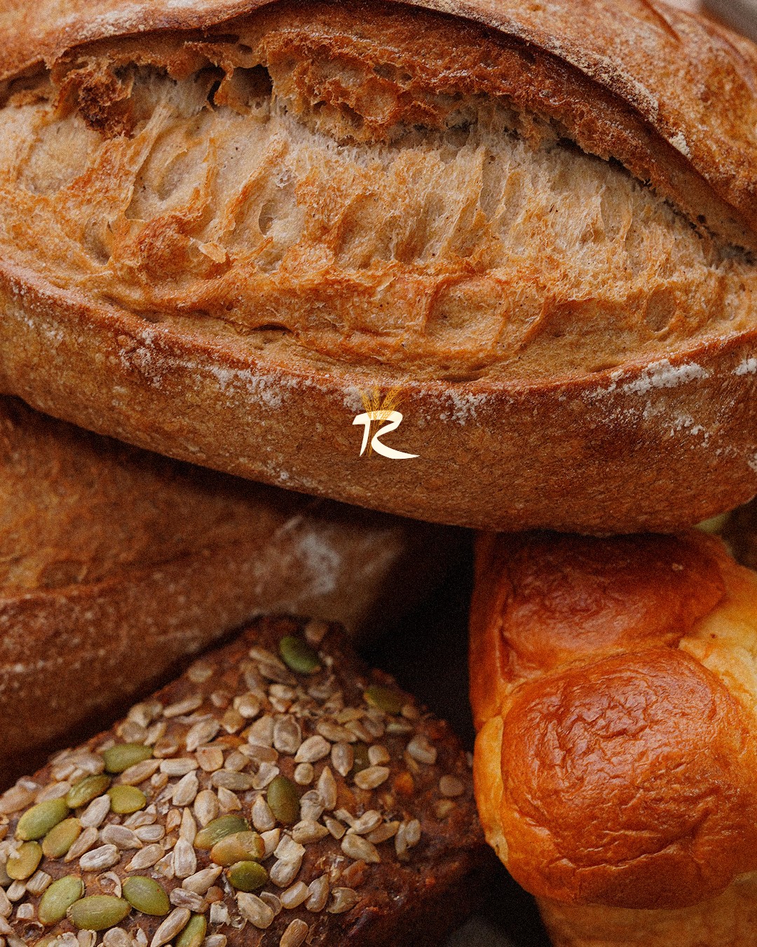 Close-up of breads with the Miell Tirana R