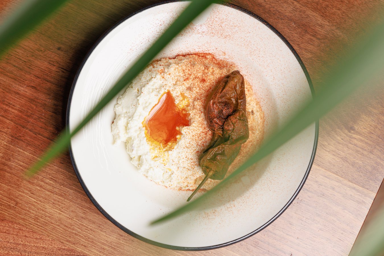 Whipped cheese with chilli oil and a blistered pepper, seen through palm leaves