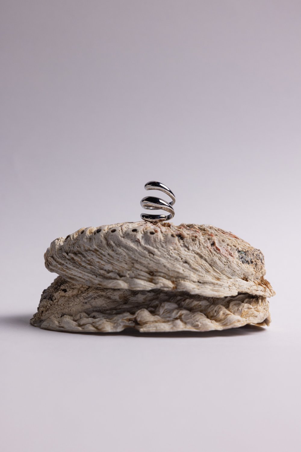 Silver spiral ring resting on a sea shell