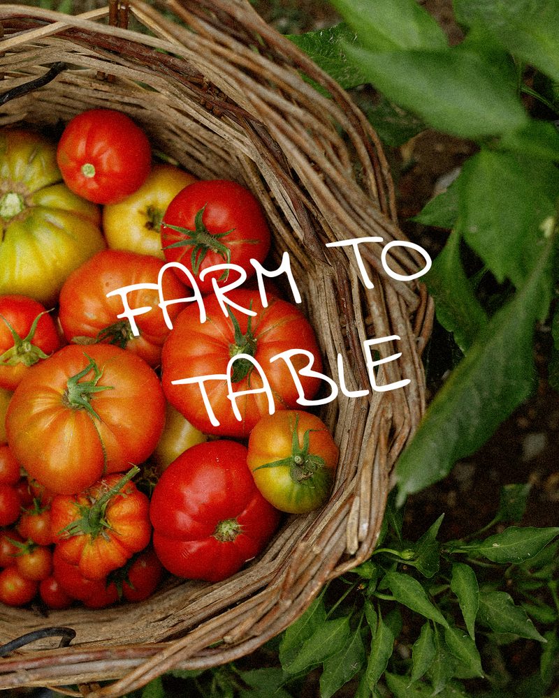 Farm to table: heirloom tomatoes in a wicker basket