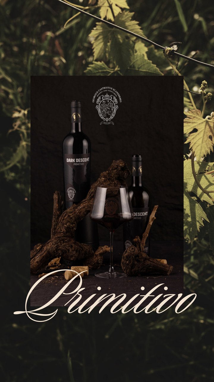 Story: Dark Descent Primitivo framed by vine leaves