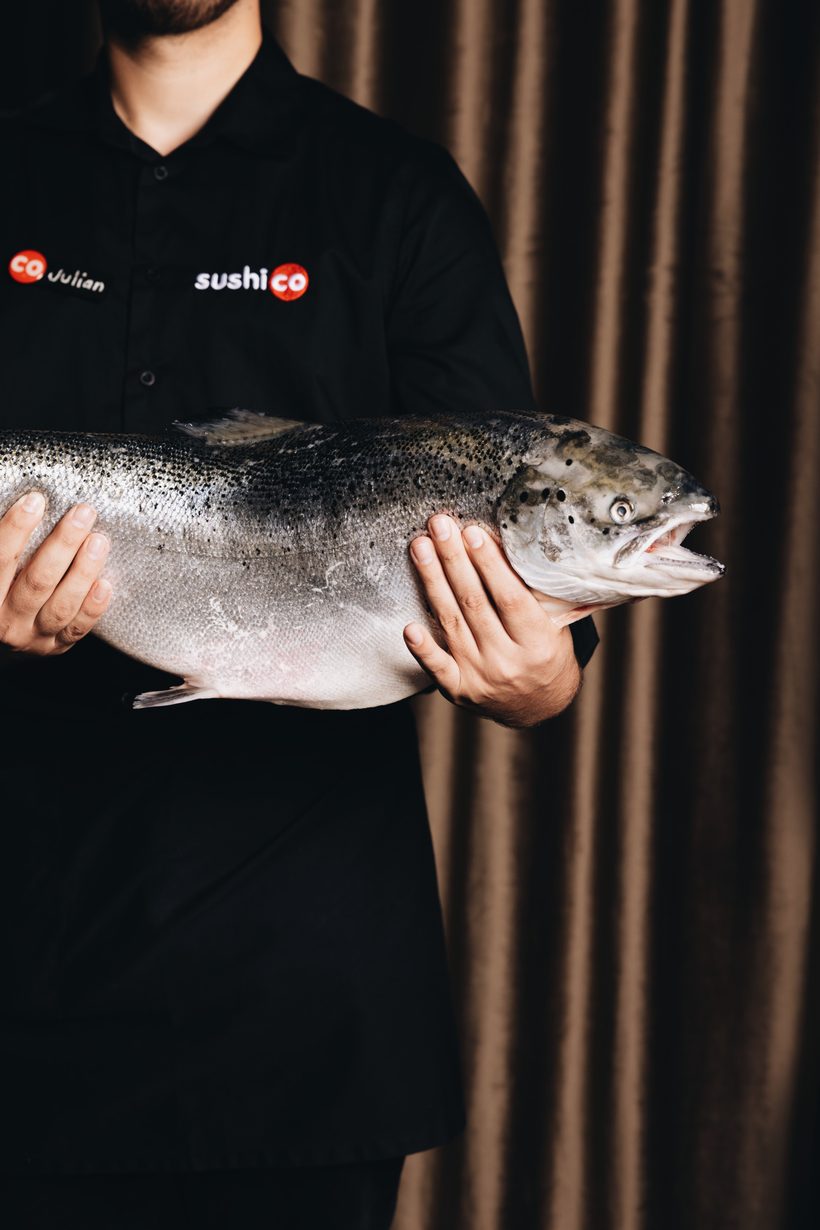 Sushi Co chef holding a whole salmon
