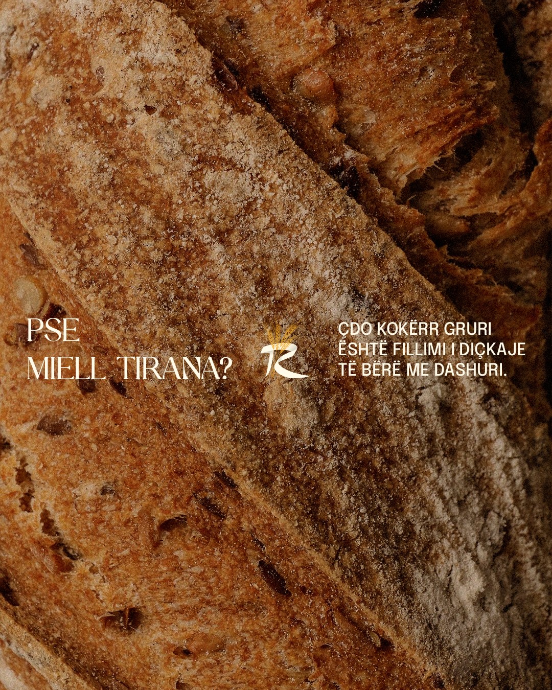 Why Miell Tirana? Every grain is the start of something made with love